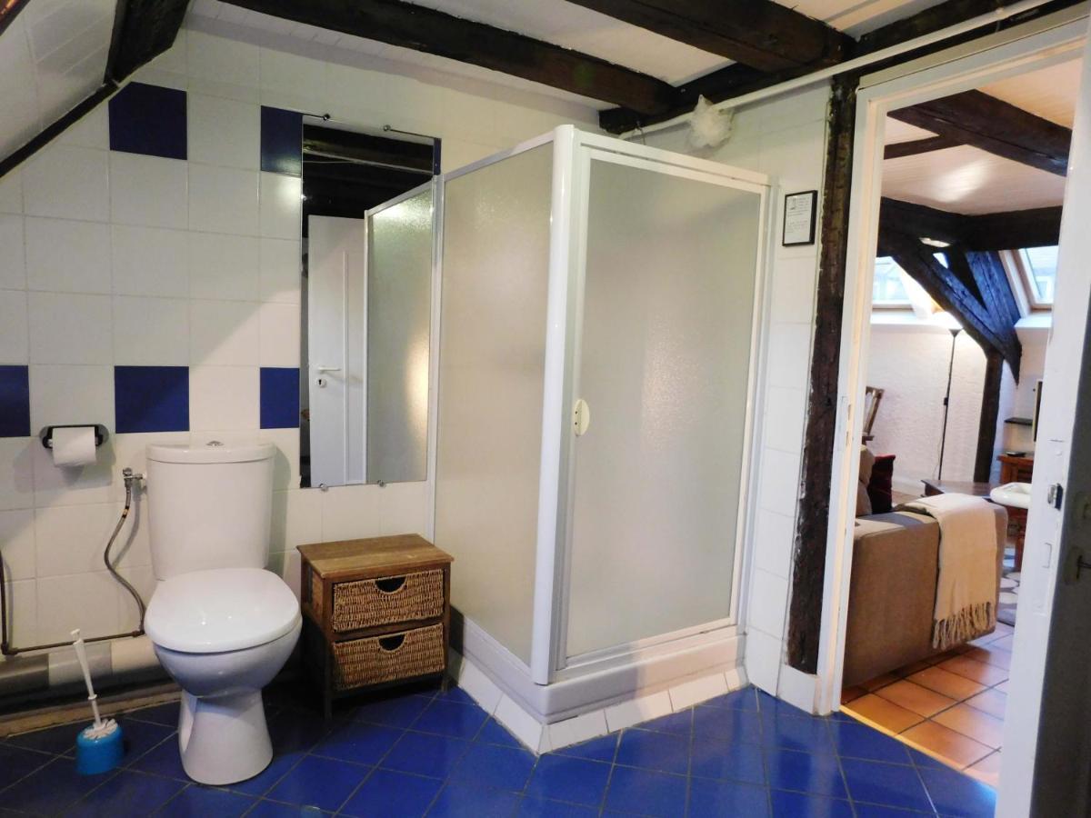 Appartement Typique Et Cosy A Deux Pas De La Cathedrale Strasburg Zewnętrze zdjęcie