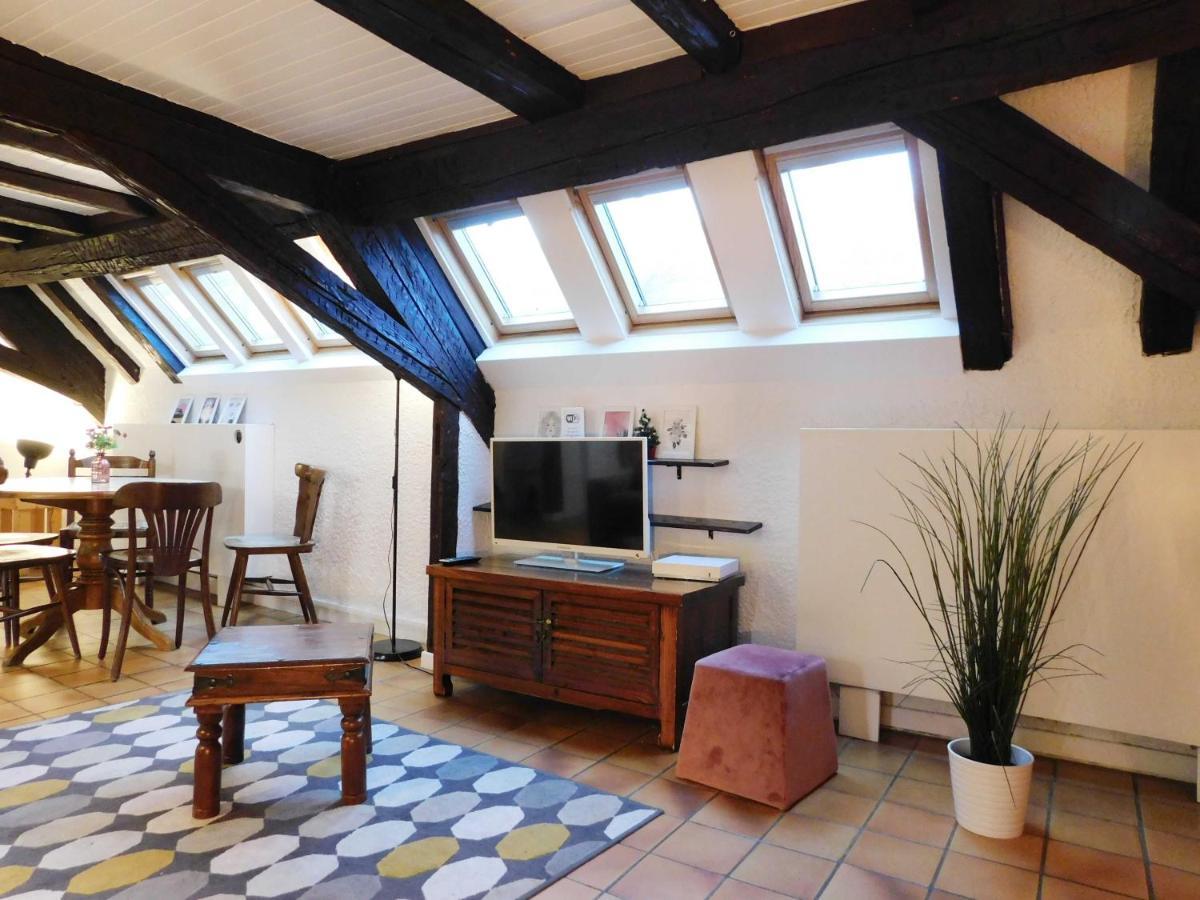 Appartement Typique Et Cosy A Deux Pas De La Cathedrale Strasburg Zewnętrze zdjęcie